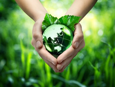 World Environment Day 2025: Catalyzing Global Action for a Greener Future